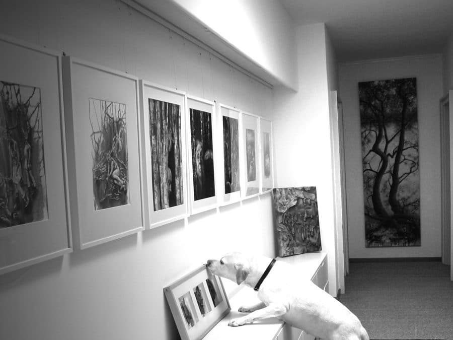 Die Haus-Galerie