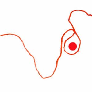 Tour de Schnur - Ein Malspiel - Kreatives Malen und Zeichnen